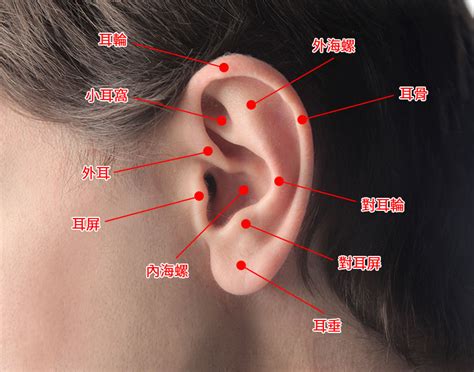 打耳洞洗頭|三、打耳洞需注意的安全性和風險